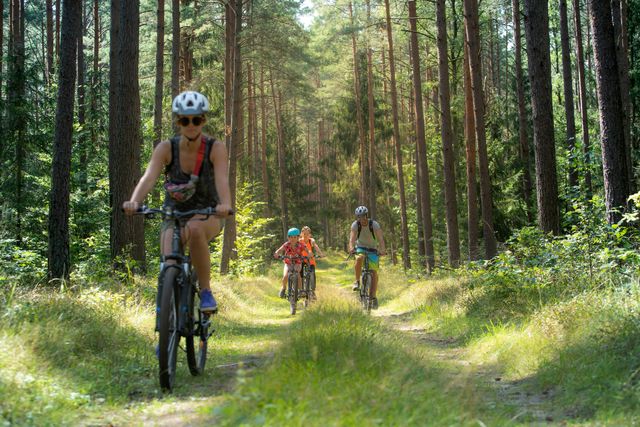Grupa czterech osób jedzie na rowerach leśną ścieżką wśród wysokich sosnowych drzew, słoneczny letni dzień, zielone otoczenie.